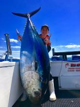 Blue fin Tuna